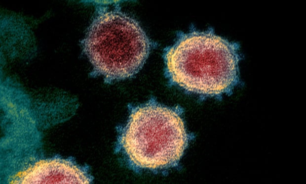 Phát hiện mới về khả năng chống Omicron của tế bào T 