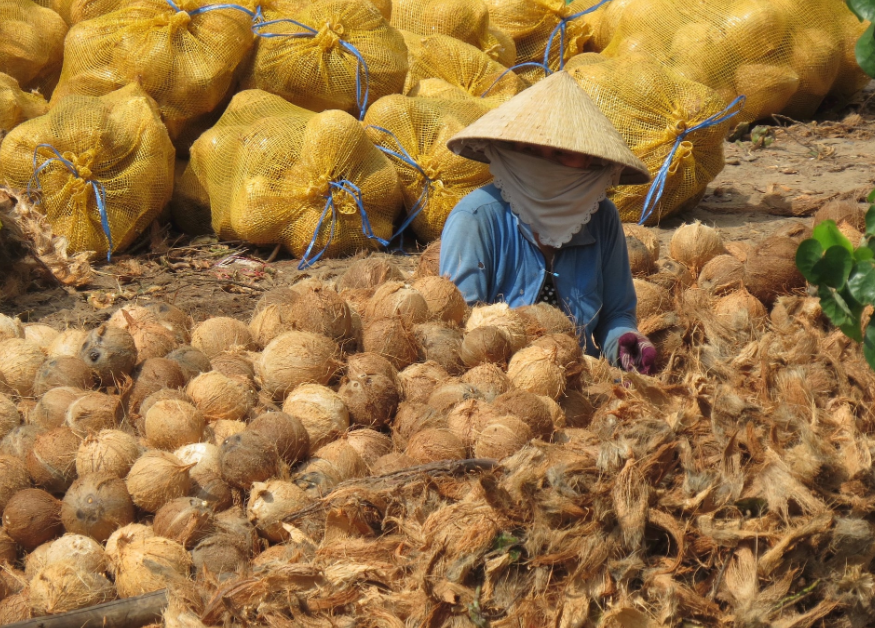 Giá trái cây tăng mạnh