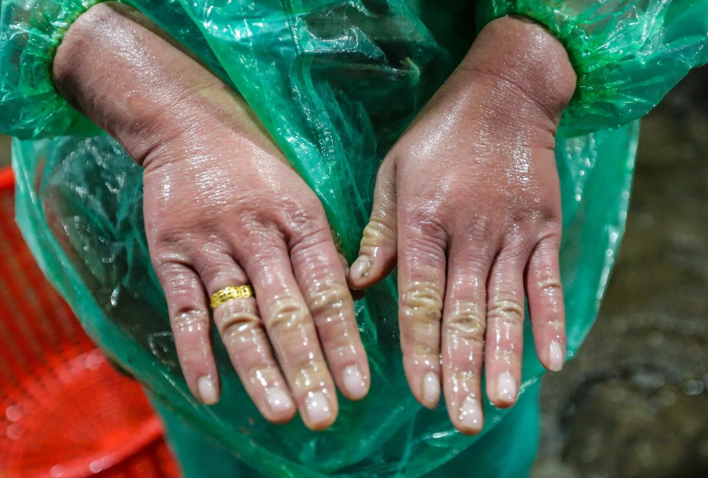 Những bàn tay khiêng đá, bắt cá mưu sinh trong giá rét 9 độ C ở Hà Nội