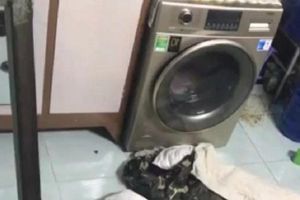 Vụ mẹ treo cổ, con gái 7 tháng tuổi tử vong trong máy giặt: Người mẹ có biểu hiện trầm cảm 