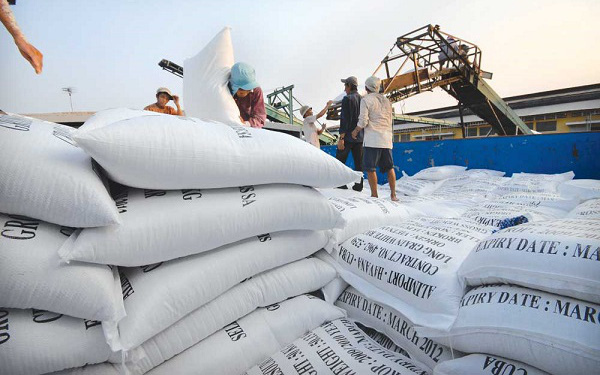 Xuất khẩu gạo tăng mạnh ngay tháng đầu năm 