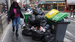 Khủng hoảng rác, Paris đối mặt cuộc xâm lăng của... chuột
