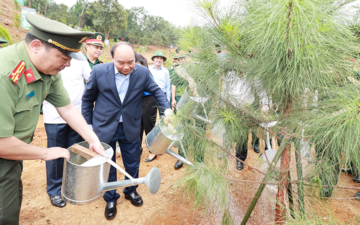 Chủ tịch nước Nguyễn Xuân Phúc dự Lễ phát động trồng cây tại Khu di tích lịch sử K9 