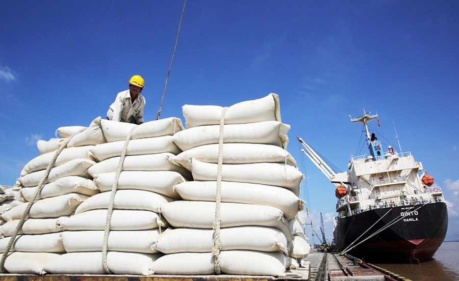 Xuất khẩu gạo giảm mạnh, chuyên gia khuyên đừng vội giảm giá  