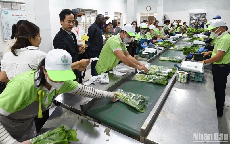Việt Nam nỗ lực trong chuyển đổi hệ thống lương thực, thực phẩm