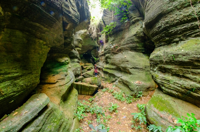 Lạc vào ‘kỷ Jura’ đậm chất phiêu lưu ở hang động Quảng Nam ít người đặt chân đến