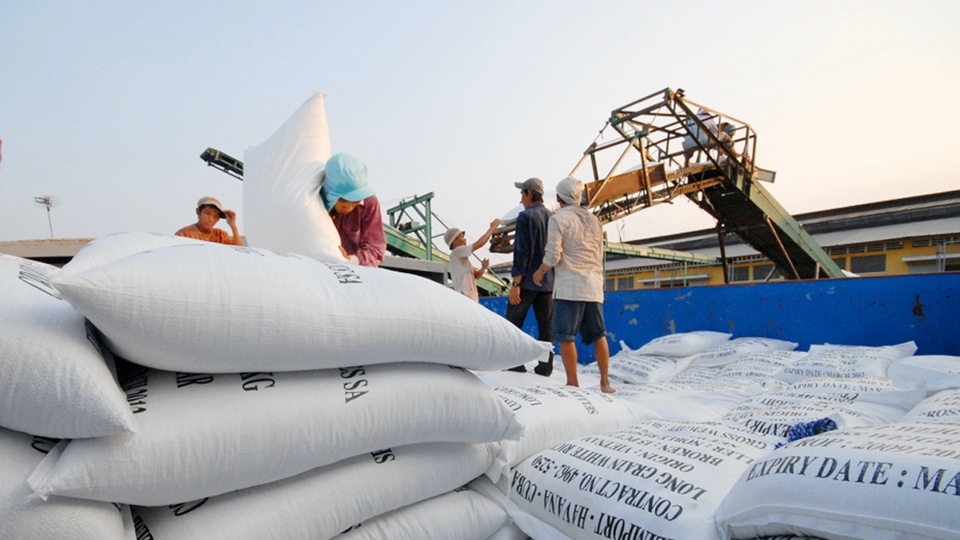 Xuất khẩu gạo tăng kỷ lục, nhưng doanh nghiệp vẫn thua lỗ 