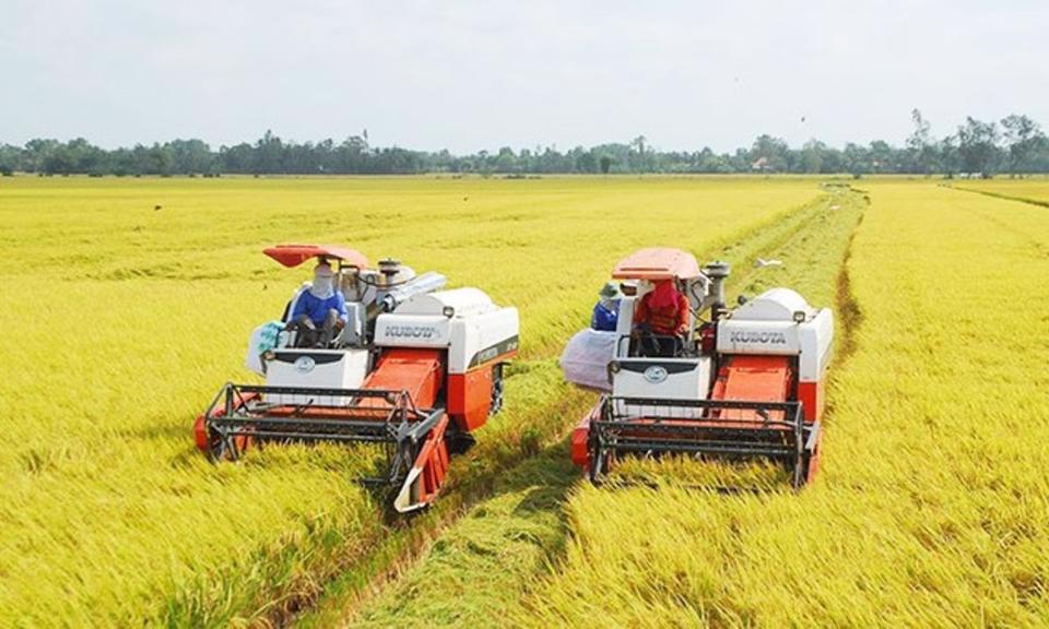 Kinh Môn thống nhất mức giá thuê máy gặt lúa 