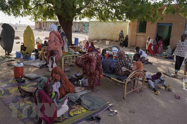 Sudan: Phát hiện ngôi mộ tập thể chôn 87 người ở Darfur