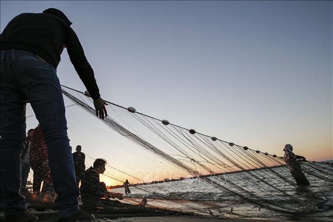 Israel nới lỏng kiểm soát và mở rộng vùng đánh cá tại Dải Gaza 
