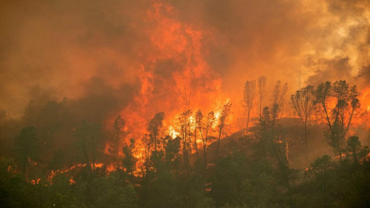 Cháy rừng ở California, Mỹ khiến hàng nghìn người phải sơ tán