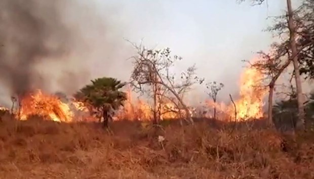 Cháy rừng đe dọa các khu bảo tồn thiên nhiên tại Bolivia