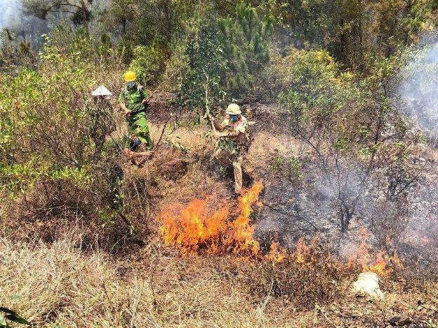 Chủ động phòng chống cháy rừng trong cao điểm mùa khô 