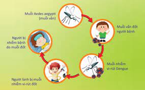 VIDEO: 17 ca mắc và nghi mắc sốt xuất huyết Dengue
