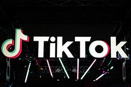 Công bố hàng loạt vi phạm của TikTok tại Việt Nam 