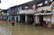 Ít nhất 77 người thiệt mạng vì sạt lở đất và lũ lụt tại Nepal