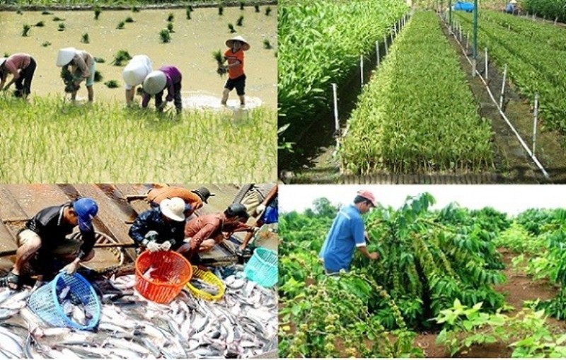 Hướng đến phát triển lương thực thực phẩm, nông lâm nghiệp bền vững 