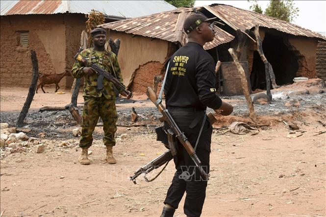 Các phần tử Hồi giáo cực đoan sát hại 37 người trong hai vụ tấn công ở Yobe, Nigeria 