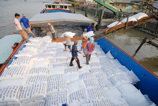 Xuất hiện tình trạng gạo Campuchia, Ấn Độ ồ ạt vào Việt Nam 