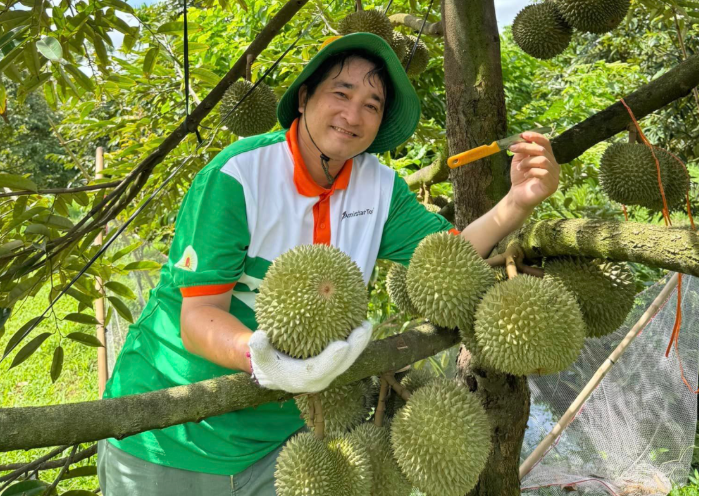 Giảm ăn hàng Thái, chỉ 1 tháng Trung Quốc vung 16.000 tỷ mua ‘vua trái cây Việt’