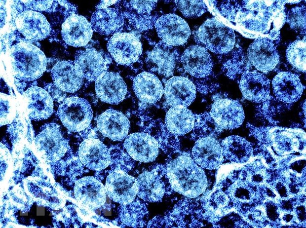 Trung Quốc phát hiện kháng thể ngăn ngừa mọi biến thể của SARS-CoV-2