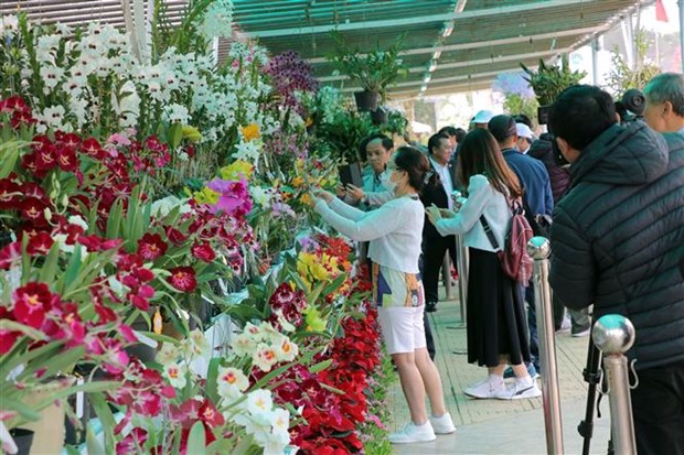 Rao bán trái phép giấy mời lễ công bố Festival hoa Đà Lạt 2022