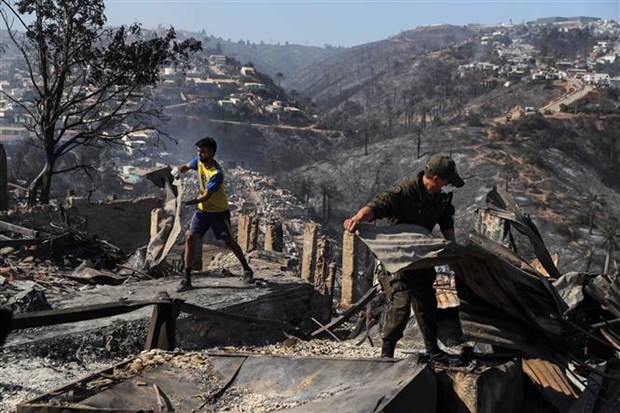 Chile nỗ lực khống chế cháy rừng nghiêm trọng ở thành phố miền Trung