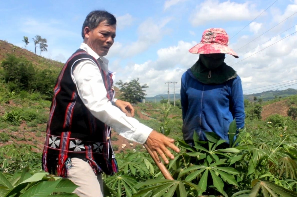 Hỗ trợ người cao tuổi khởi nghiệp