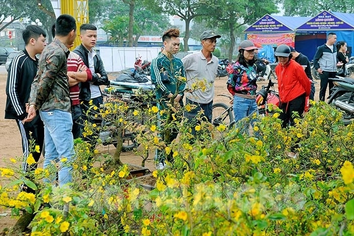 TP Hải Dương đảm bảo trật tự đô thị tại chợ hoa xuân 