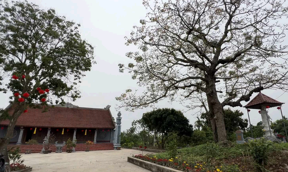 Giá trị văn hóa lịch sử những cây di sản Việt Nam ở Kim Thành