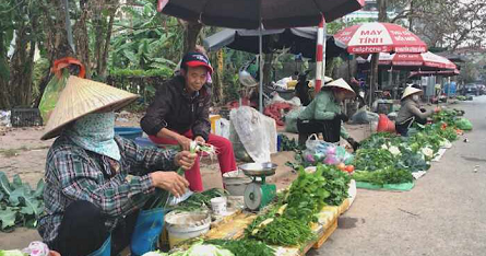 THỰC PHẨM TƯƠI SỐNG VÀ RAU XANH GIẢM GIÁ BÁN 