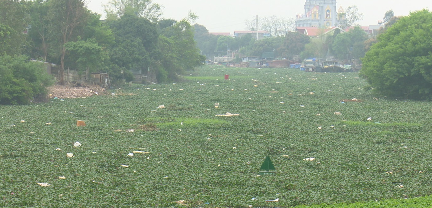 Sở Nông nghiệp & Phát triển nông thôn chỉ đạo khắc phục ô nhiễm kênh Bắc Hưng Hải
