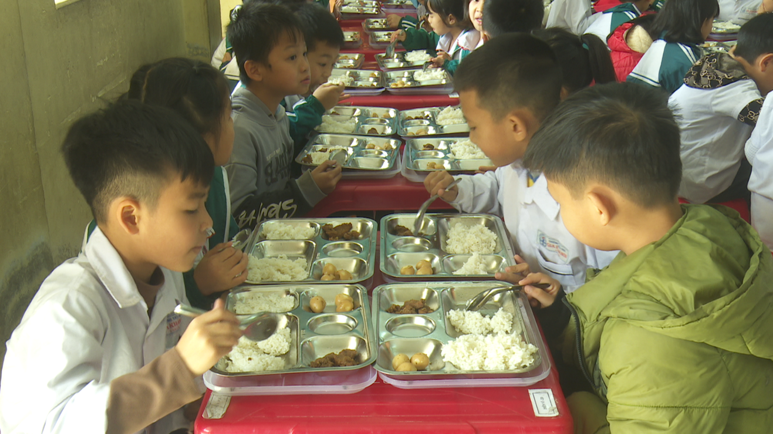 Tăng cường đảm bảo an toàn thực phẩm trong trường học