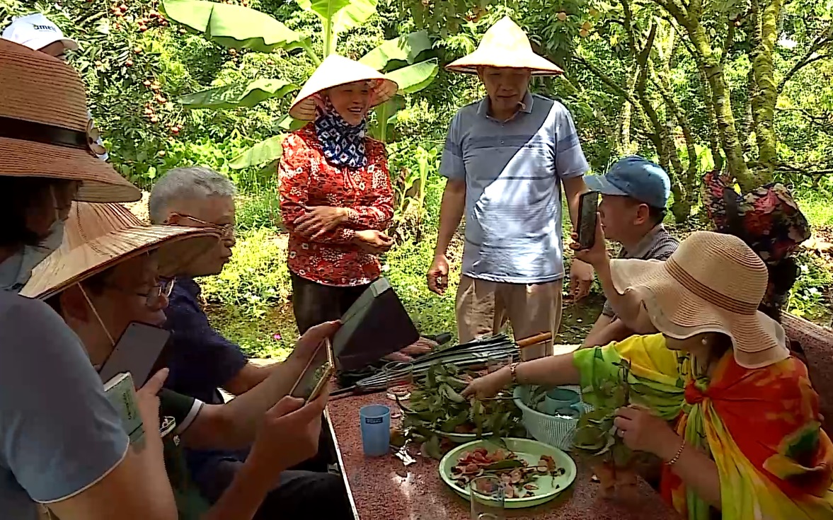 CDCS: Người tiên phong làm du lịch miệt vườn ở Thanh Hà