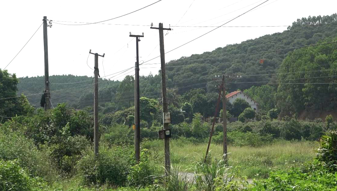 Giám sát thực trạng lưới điện nông thôn tại Chí Linh và Kinh Môn