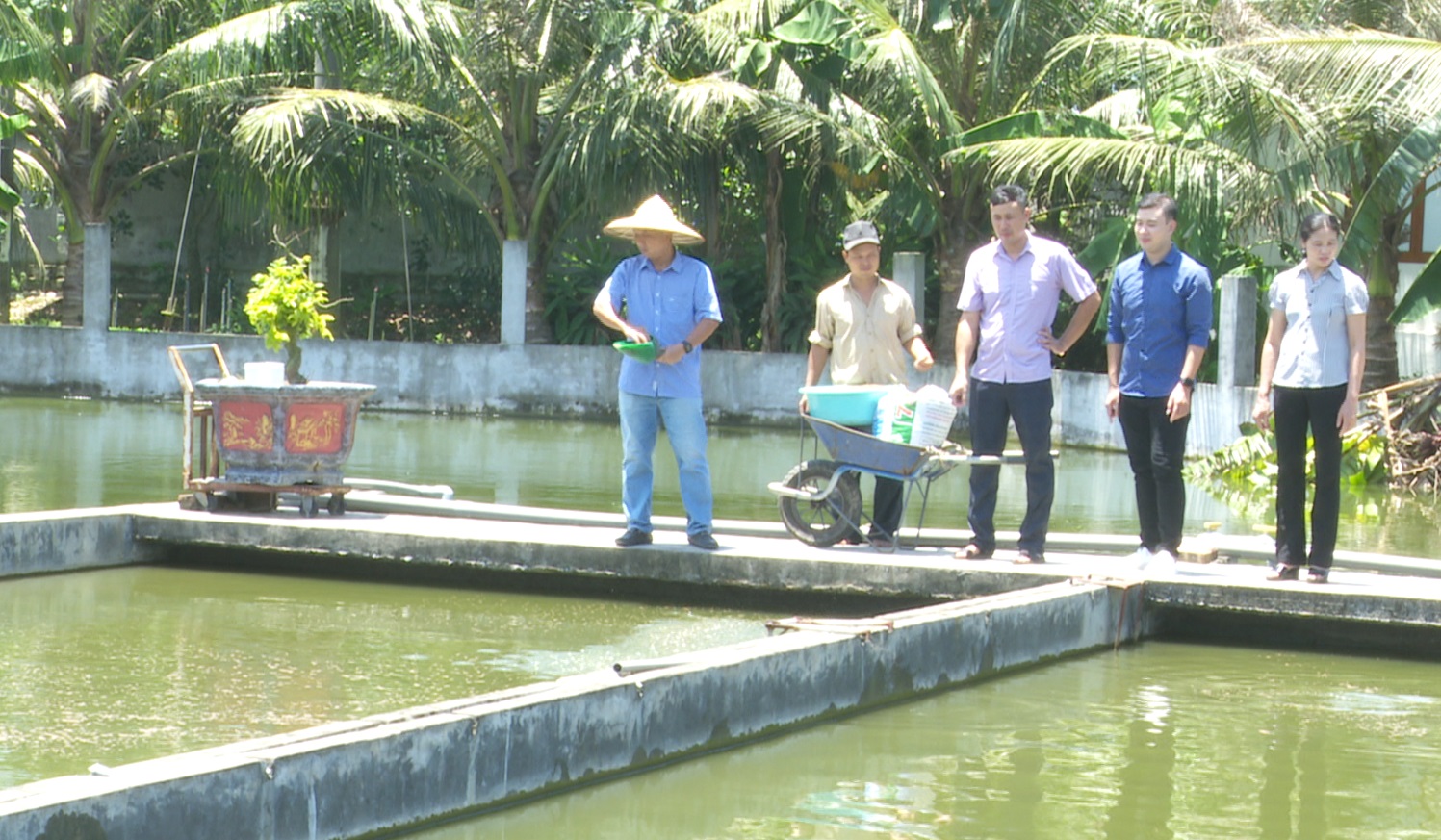 CHUYỆN TAM NÔNG: Khắc phục những bất lợi trong nuôi trồng thủy sản mùa nắng nóng