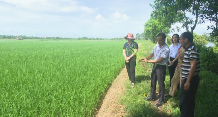 NHỮNG MÔ HÌNH NÔNG DÂN SẢN XUẤT, KINH DOANH GIỎI Ở XÃ KIM LIÊN, HUYỆN KIM THÀNH