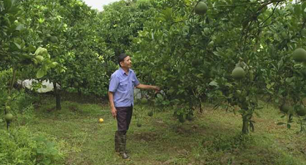 GƯƠNG LÀM GIÀU TỪ MÔ HÌNH VAC CỦA MỘT BỆNH BINH