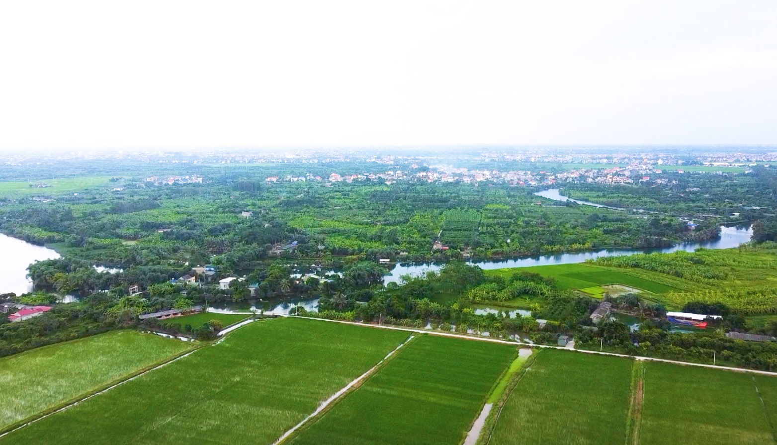 THÀNH ĐÔNG NGÀY MỚI: Thành phố Hải Dương thúc đẩy phát triển nông nghiệp ven đô