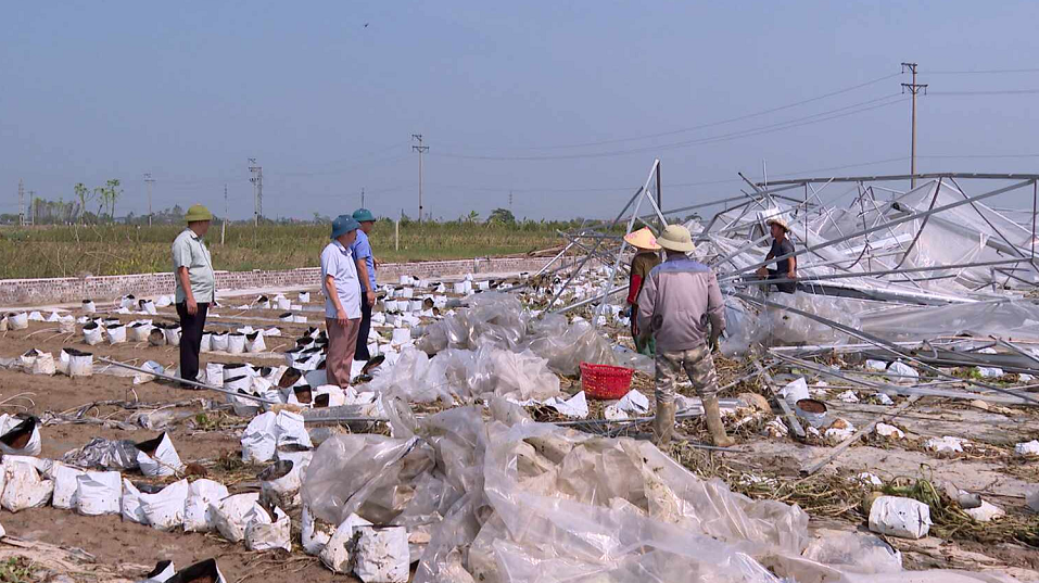 CÁC ĐỊA PHƯƠNG KHẨN TRƯƠNG KHÔI PHỤC SẢN XUẤT NÔNG NGHIỆP