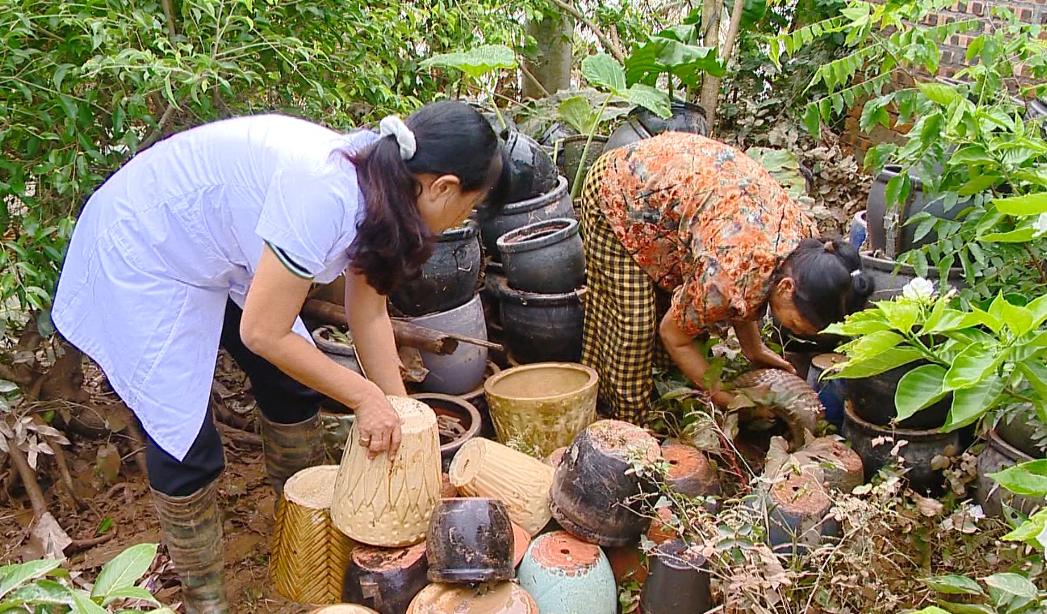 PHÒNG NGỪA DỊCH BỆNH PHÁT SINH SAU MƯA LŨ