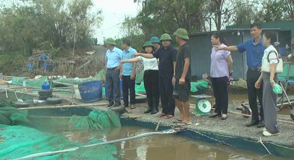 CỤC THUỶ SẢN KIỂM TRA KHẮC PHỤC THIỆT HẠI CỦA CÁC HỘ NUÔI CÁ LỒNG TRÊN SÔNG