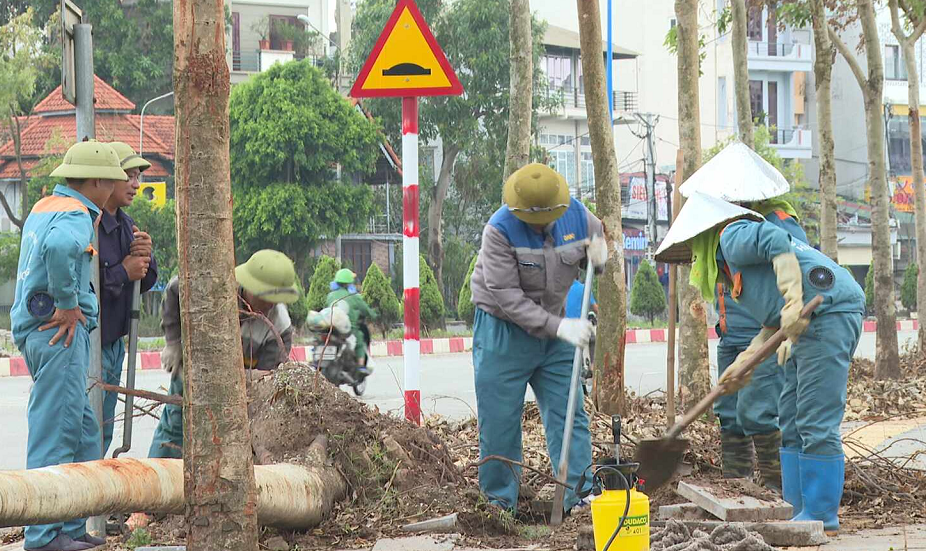 CHÂN DUNG CUỘC SỐNG: NGƯỜI HỒI SINH CÂY XANH