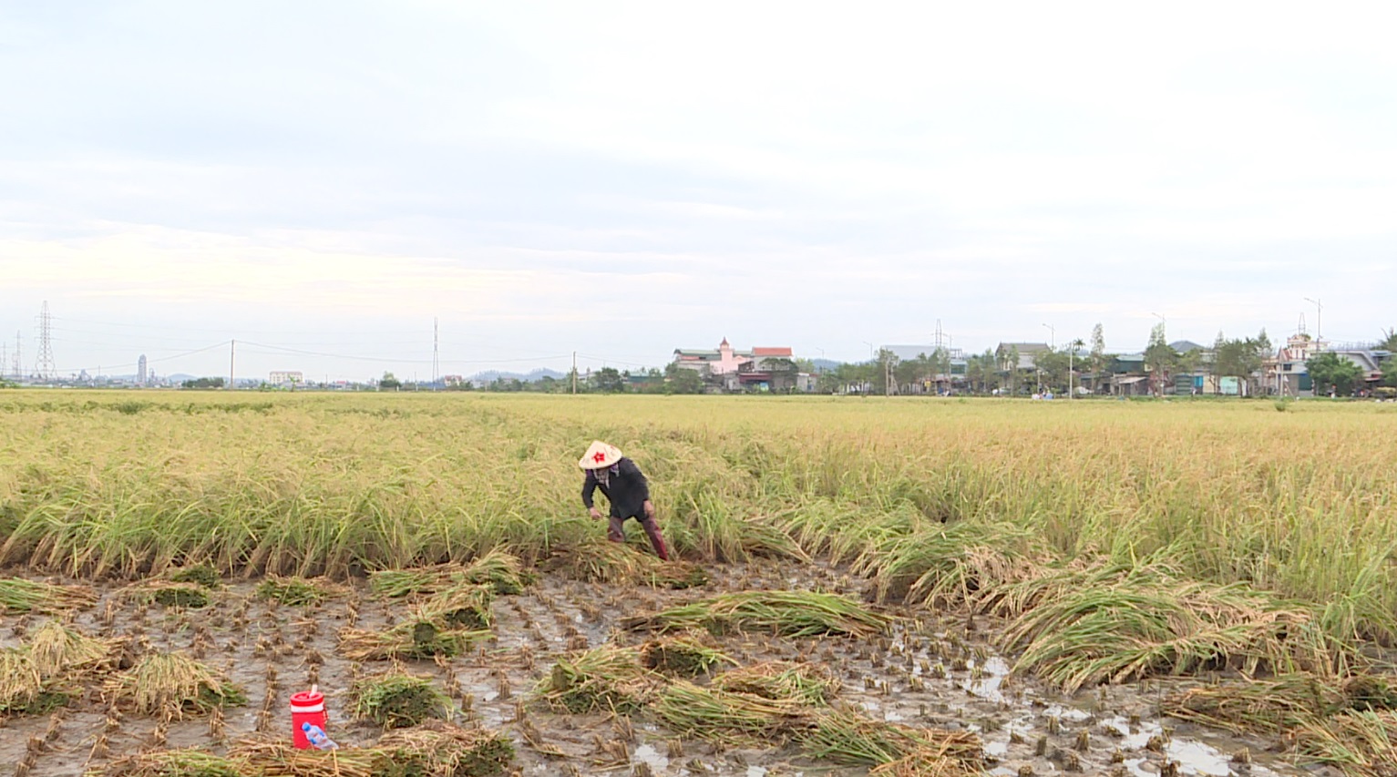 NÔNG DÂN THỊ XÃ KINH MÔN KHẨN TRƯƠNG TÁI SẢN XUẤT