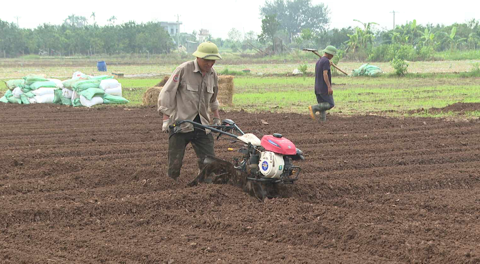 NÔNG DÂN VÙNG BÃI SÔNG HUYỆN THANH MIỆN KHÔI PHỤC SẢN XUẤT	