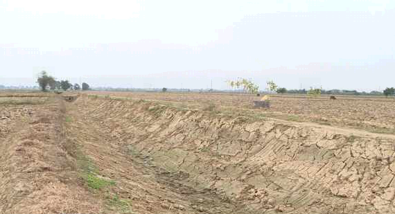 Chủ động thích ứng tình trạng thiếu hụt nước gieo cấy lúa vụ Đông Xuân