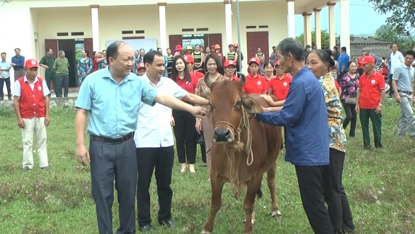 Hội Chữ thập đỏ TP Chí Linh trao bò nái sinh sản